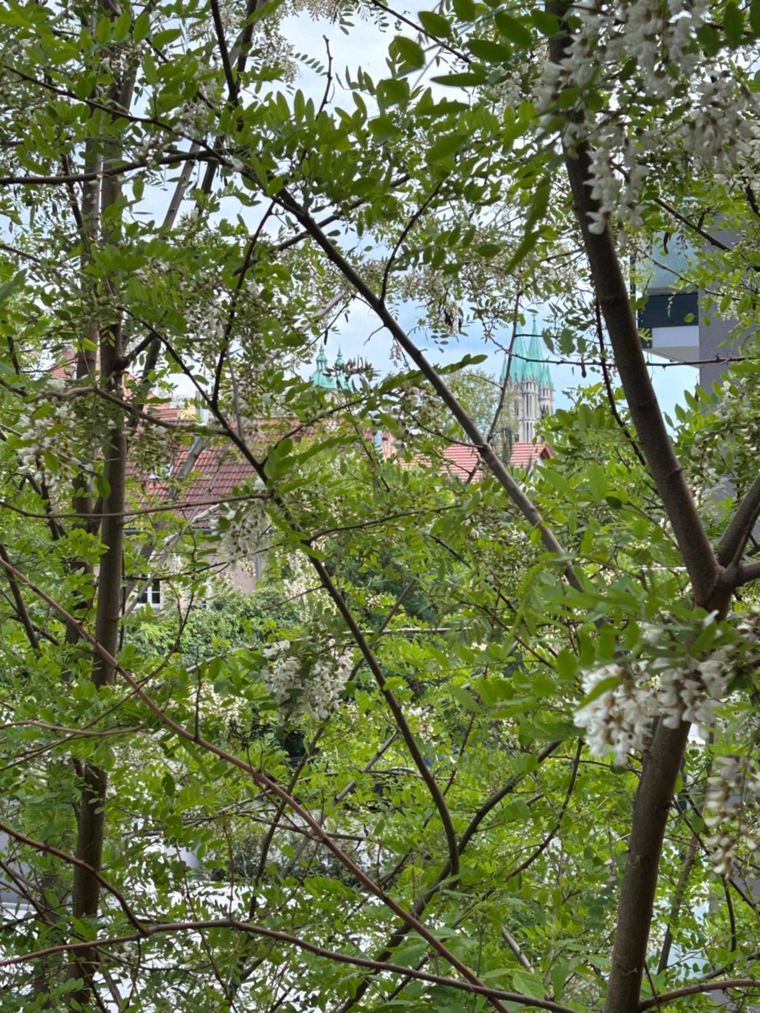Apartment Schoene 3 Mit Grossem Balkon Bis 7 Personen